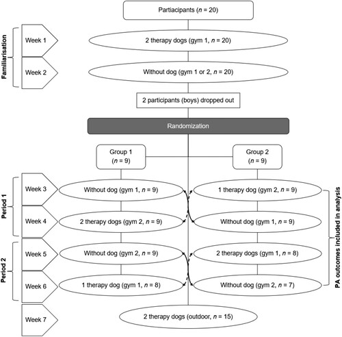 Figure 1. Flowchart of the dog-assisted physical activity intervention in children with autism spectrum disorder.