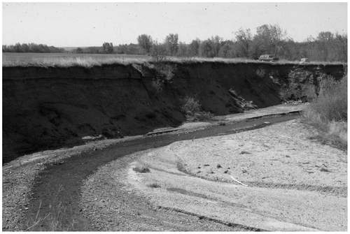 Figure 6 The Wilson Creek canyon (1975) is typical of channels that eroded to the base of the alluvial fan deposits when drainage canals were connected to the foot of the Manitoba Escarpment. The original channel was dug with a horse and scoop in 1928.