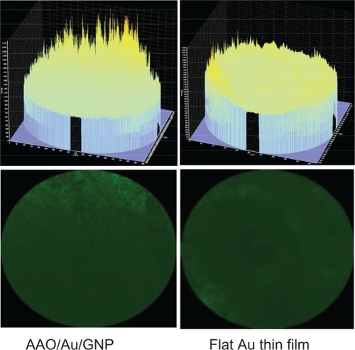 Figure 7 Fluorescence analysis of a sensor for Der p2 adherence.Abbreviations: AAO, anodic aluminum oxide; GNP.