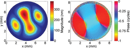 Figure 5 Full-field transfer function magnitude (left) and phase (right) maps of a stretched rubber membrane acoustically stimulated at a frequency of 3805.5 Hz and a sound pressure of 100 dB SPL. These figures originate from the same measurement data as Figure 4.