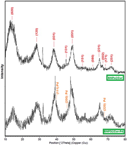 Figure 3. XRD patterns for BNPs@Cur and BNPs@Cur-Pd nanocatalyst.