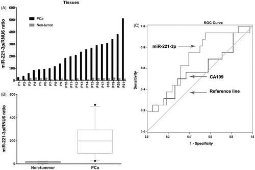 Figure 4. Expression miR-221-3p was analysed in 21 pairs of PCa tissues and adjacent non-tumour tissues (A), and miR-221-3p expression is significantly higher in PCa tissues (B). ROC curve suggested that the AUC of miR-221-3p (0.687) is larger than that of CA19-9 (0.589).