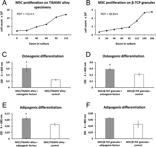 Figure 4. Proliferation ability and differentiation potential of MSC cultured on Ti-6Al-4V alloy (a, c, e) and β-TCP (b, d, f). (a and b) MSC proliferation profiles on Ti-6Al-4V alloy specimens (a) and β-TCP granules (b) evaluated with Alamar Blue assay. (c and d) Differentiation towards osteogenic lineage quantitatively demonstrated by ALP assay. (e and f) Quantification of adipogenic differentiation by measuring the absorbance of Oil red O eluates. Data are presented as mean ± SD; *p < 0.05.