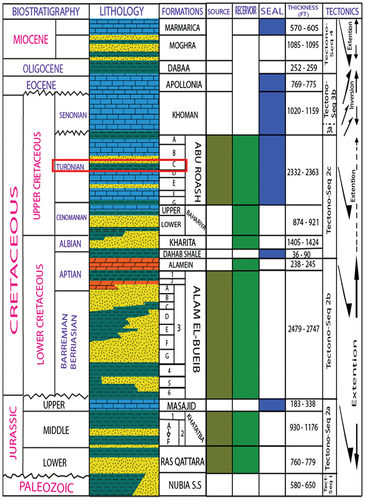 Figure 2. Generalized stratigraphic nomenclature, northern Western Desert including Shushan basin, Egypt and the red box refers to the interested Member (Abu Roash-C) (modified after Bevan and Moustafa Citation2012; Shalaby et al. Citation2013).