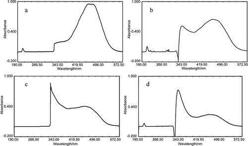 FIGURE 1 UV-Vis spectrum of (a) capsanthin; (b) treated with ; (c) H2O2; and (d) ·OH.