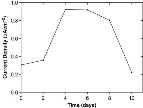 Figure 4. Effect of cold on O2•−  production in tomato plants seedling after 10 days treatment.