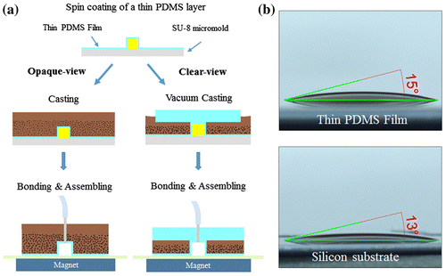 Figure 10. (a) MMPs-PDMS casting procedure with thin PDMS film. (b) Surface wettability of a 2:5 concentration MMPs-PDMS composite droplet on a thin PDMS film and on a silicon substrate.