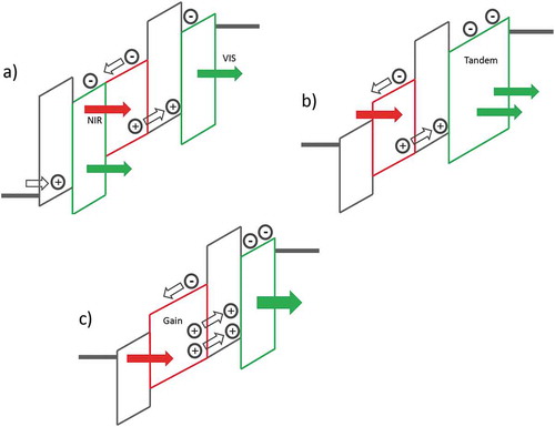 Figure 5. Layouts of upconverter architectures with increased NIR-to-visible photon conversion efficiency. Several crucial charge-blocking, -transporting and -generating interfacial layers are omitted in these simplified pictures for clarity. a) In a tandem upconverter the photodetector is sandwiched between two emitter layers, electrons, as well as holes, are harvested to generate visible light. b) A tandem OLED emits two visible photons per one photogenerated charge. c) A photodetector with a gain injects more than one hole into the emitter layer per one photogenerated charge.