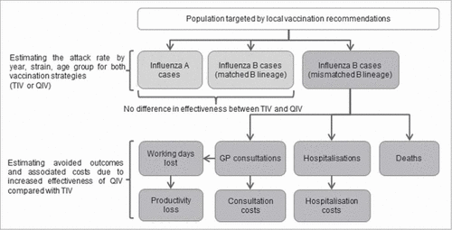 Figure 1. Model structure, GP: General Practitioner; QIV: Quadrivalent influenza vaccine; TIV: Trivalent influenza vaccine.