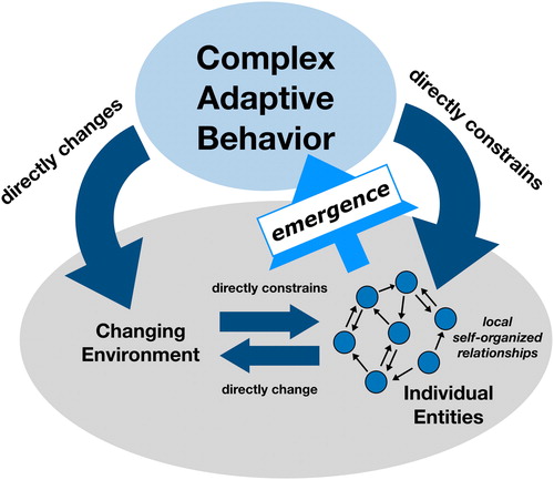 Figure 1. A visual guide of complex adaptive behavior as the result of individual self-organized relationships, interactions with a shared environment, and mutual constraints. Reprinted with permission under a CC 3.0 BY-SA license (Megan Chiovaro and Alexandra Paxton, https://osf.io/zqrf2/).