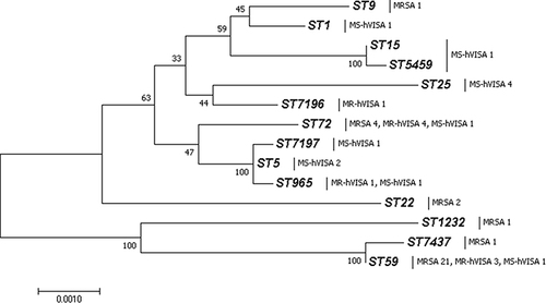 Figure 1 Molecular Phylogenetic analysis of all MRSA and hVISA isolate detected for MLST data by Neighbor-Joining method. ST59 and ST7437 belonged to CC59, CC15 contained ST15 and ST5459, ST965, ST7197 and ST5 grouped into CC5.