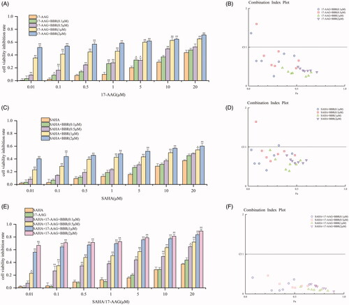 Figure 5. BBR enhanced the anti-proliferative activity of 17-AAG and SAHA, and the combination of the three has more potent synergistic effect on SW480 cells. The incubation time of SW480 cells and the test drugs was 24 h. (A) SW480 cells were exposed to specified concentrations of 17-AAG for 24 h in the presence of 0–2 µM of BBR. (B) The CI values of BBR and 17-AAG combinations. (C) SW480 cells were exposed to specified concentrations of SAHA for 24 h in the of 0–2 µM of BBR. (D) The CI values of BBR and SAHA combinations. (E) SW480 cells were treated with specified concentrations of 17-AAG and SAHA in the presence of 0–2 µM of BBR. (F) The CI values for BBR, 17-AAG and SAHA combinations. The above data are all presented as the means ± S.D. of three independent experiments. *p< 0.05, **p< 0.01 when comparing with 17-AAG, SAHA and both 17-AAG and SAHA treatment in the absence of BBR.