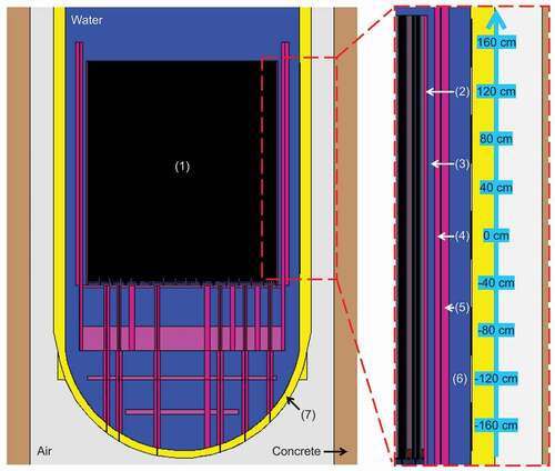 Fig. 3. Axial cut of the MCNP6 reactor modeling and axial segmentation of the considered tallies indicated by black and white sections. (1) Fuel assemblies; (2) core baffle; (3) moderator bypass; (4) core barrel; (5) thermal neutron shield; (6) downcomer; (7) RPV.