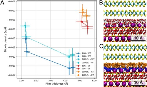 Figure 4. Dipole density for different molecular fillings of interfaces between mica and 2D materials, 1L and 2L of graphene and MoS2, as a function of film thickness (a). MD snapshots after 50 ns of MD simulations of the 2L MoS2-mica interface filled with water (b) and a mixture of ethanol and water molecules (c).