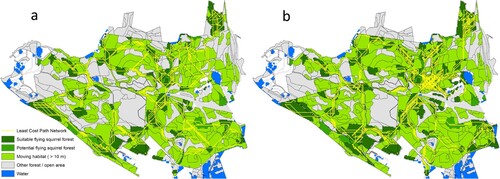 Figure 3. Suitable SFS forests (dark colour) and corridors (lines) associated with management scenario SG1 (a) and SG11 (b) after a 30 year-period.