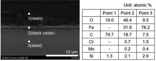 Figure 2. SEM image of BO-coated steel disc (Ra = 8 nm) and corresponding EDX analyses.
