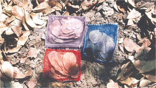 Figure 1. Litter bags on the forest floor.