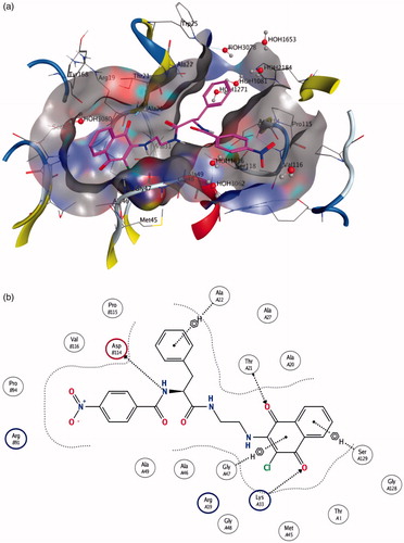 Figure 3. (a) Molecule 10 in the β1 active site (best pose). (b) Schematic view of the interactions between the receptor and the docked molecule.