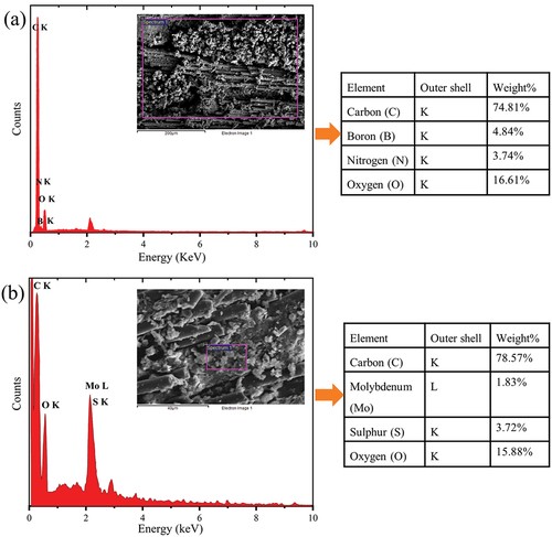 Figure 14. EDS graph with scanned area: (a) BN-CFEC and (b) MoS2-CFEC.