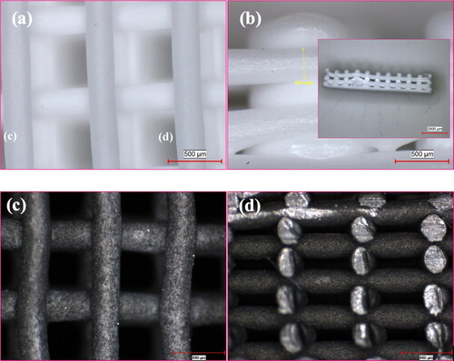 Figure 3. Optical microscope images of the bare (a), (b) and 10 wt% graphene-containing (c), (d) PCL scaffolds.