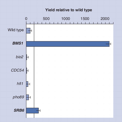 Figure 1. Analysis of yields of Fps1 to validate the array data in Table 1.Fps1 yields, as assessed by immunoblot, are reported relative to wild type. Lower-case letters denote deletion strains, while upper-case letters denote strains with an upregulated expression of that particular gene. BMS1 and SRB6 are in bold as the yields obtained for these strains in a production screen exceeded the threshold (more than twice that of wild type) required for further study.