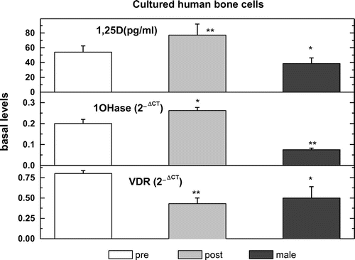 Figure 8. The expression of VDR or 1OHase and 1,25D production in pre-menopausal human osteoblasts (pre-), in post-menopausal human osteoblasts (post-) and in human male osteoblasts (male).