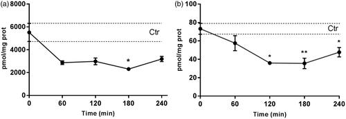 Figure 2. Ceramides (A) and dihydroceramides (B) levels in the retina after topical administration of the myriocin-NLC. Ceramide or dihydroceramide range in control animals is represented by two dotted lines. *p < .05 **p < .001 Myr-NLC rabbits vs. vehicle-treated group.