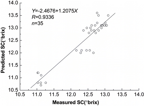 Figure 3 The relationship between predicted and measured values of 35 yogurt samples.