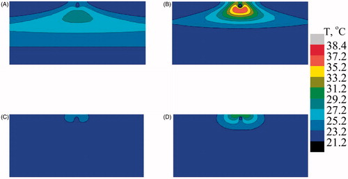 Figure 11. Predicted temperature distribution at mid Y–Z plane in the case of single vessel transiting tissue (SVTT) with the blood vessel placed at a depth of 2.5 mm from the surface. (A) Multiple scattering in the absence of gold mesoflowers (AuMS), (B) multiple scattering in presence of AuMS, (C) Welch model in the absence of AuMS, (D) Welch model in the presence of AuMS (power = 558 mW, 300 s, flow rate = 10 mL/min).