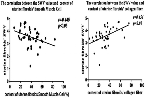 Figure 4. Scatter diagram of the correlation between the SWV value of the uterine fibroids and content of smooth muscle cells and collagen fibers.