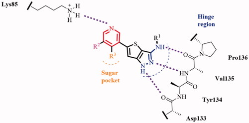 Figure 2. Design of thieno[3,2-c]pyrazol-3-amine derivatives as GSK-3β inhibitors.