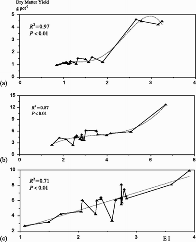 Fig. 1. Polynomial relationships between EI (Efficiency index=dry matter yield2/total P) and dry matter yield of bread and durum wheat genotypes for P-0 (a), P-40 (b) and P-80 (c) levels.