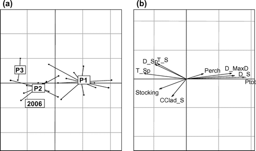 Figure 6. (a) Distribution of the center of gravity of periods (P1: 1974–1992; P2: 1993–2005; and P3: 2007–2009) within the first plane defined by axes I and II from the between-group PCA. (b) Ecological meaning of axes I and II: number of stocked larvae (Stocking), phosphorus concentration (Ptot), abundance of perch (Perch), water temperature in spring (T_Sp) and summer (T_S), Daphnia abundance in spring (D_Sp) and in summer (D_S), the date of spring maximum Daphnia abundance (D_MaxD), and L. kindtii and B. longimanus abundance in Summer (CClad_S). 2006 is represented separately as the reference year that consists of environmental conditions associated with high recruitment success.