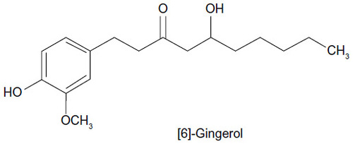 Figure 6 Structure of a marker for Zingiber officinale.