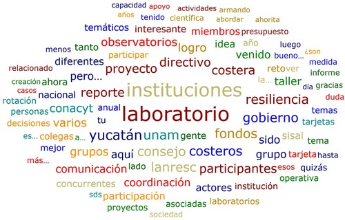 Figure 2. Cloud of words from an interview. Source: Obtained from Atlas.ti from transcribed interviews.