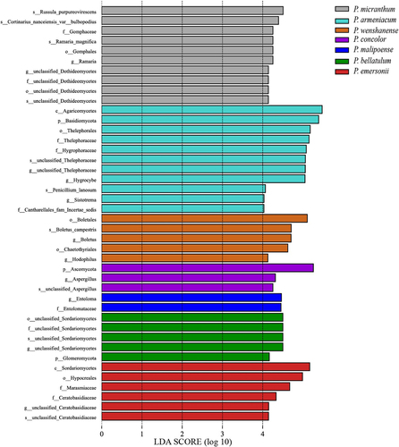 Figure 8. LDA scores (LDA = 4) from the LEfSe of soil fungi in habitats of species in subgenus Brachypetalum.