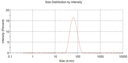 Figure 4 The particle size distribution curve of DMNs.