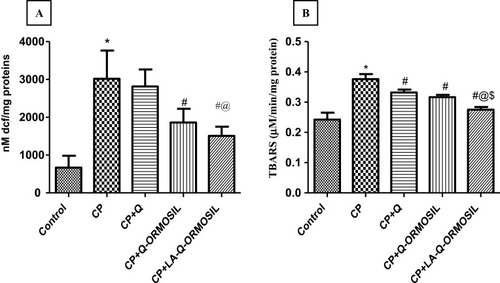 Figure 8 Results represented as mean ± SD (A) ROS and (B) TBARS. Statistical analysis done by one-way ANOVA followed by Bonferroni’s test and results obtained are significantly different (P <0.05, * vs control group, # vs CP group, @ vs CP + Q group and ($) vs CP + Q-ORMOSIL nanoparticle).