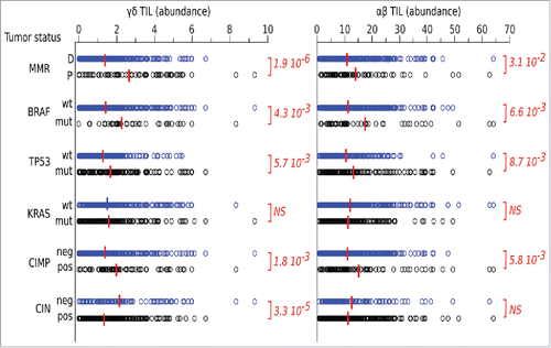 Figure 5. Data mining transcriptomes and abundance of TILs. Deconvolution of γδ TIL and αβ TIL abundances in CRC tumors according to their molecular and clinical hallmarks. Red bar indicate group means. Student's p values (2-sided) are indicated.
