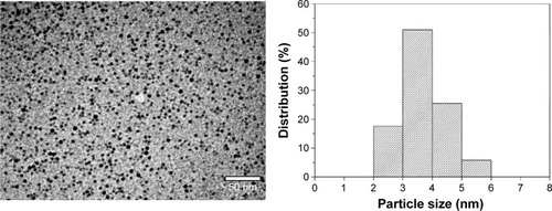 Figure 5 Transmission electron micrograph and respective histogram of silver nanoparticle nanocomposite.