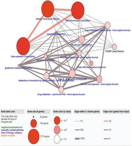 Figure 3 The significant enriched pathways of methylation-driven gene.