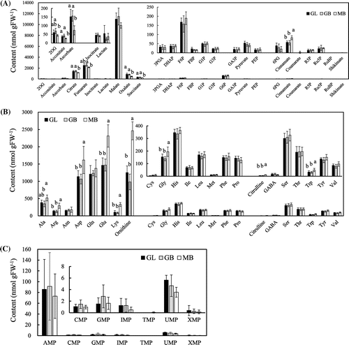 Fig. 2. Quantitative comparison of the content of organic acids (A), amino acids (B), and nucleic acids (C) in the fruiting bodies of maitake.