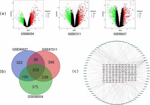 Figure 1. Differentially expressed genes (DEGs) from the three datasets. (a) The volcano plots of genes expression in GSE68204, GSE87211, and GSE90627. (b) Venn chart of DEGs shared between three GEO datasets (GSE68204, GSE87211, and GSE90627). (c) Protein-protein interaction (PPI) network of microRNA and target DEGs. Blue = downregulated DEGs; Red = upregulated DEGs; Green = microRNA