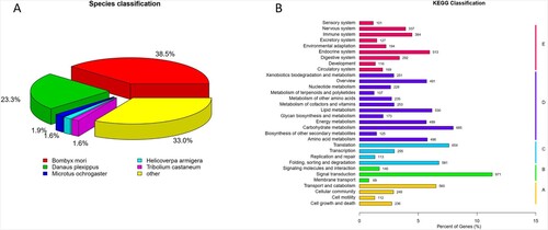 Figure 1. (A) Species distribution of unigenes annotation. (B) KEGG annotation of unigenes.