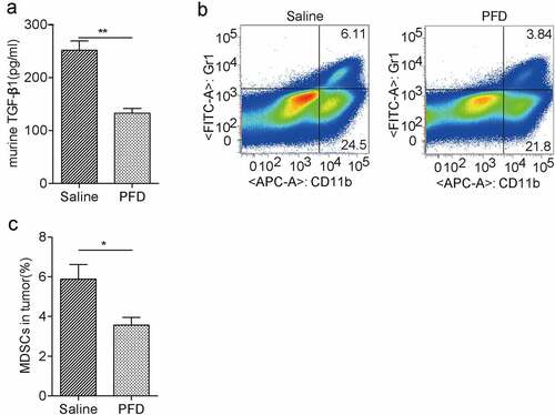 Figure 8. PFD treatment decreases TGF-β production and recruitment of immunosuppressive MDSCs in tumors.