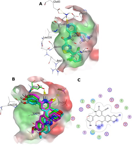 Figure 16. (A) Overlay of the X-ray co-crystal (grey sticks) on its docked pose (cyan sticks) in the binding site of PIM-2 kinase (PDB ID: 4X7Q). (B) Overlay of the docking pose of 5b, 5c, and 6e as green, cyan, and magenta sticks, respectively, in the binding site of PIM-2 kinase. (C) Interaction pattern of 5b with PIM-2 residues in 2D depictions. Polar and non-polar regions of the binding site were presented by red and green coloured molecular surface, respectively. Dashed lines indicate favourable interactions. Non-polar hydrogen atoms were omitted for clarity.