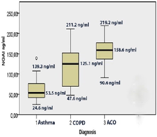 Figure 1. Plasma levels of NGAL (ng/mL) expressed as a median, in patients with 1. Asthma (53.5 ng/mL; 24.6-139.3); 2. COPD (125.1 ng/mL, 47.6-211.2), 3. ACO (asthma-COPD overlap) 158.6 ng/mL; 90.6-219.2).
