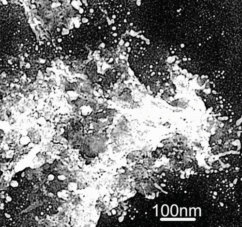 FIG. 1 Granular structures having a broad size range linked by electron-transparent gel material in the surface microlayer of the central Arctic Ocean.