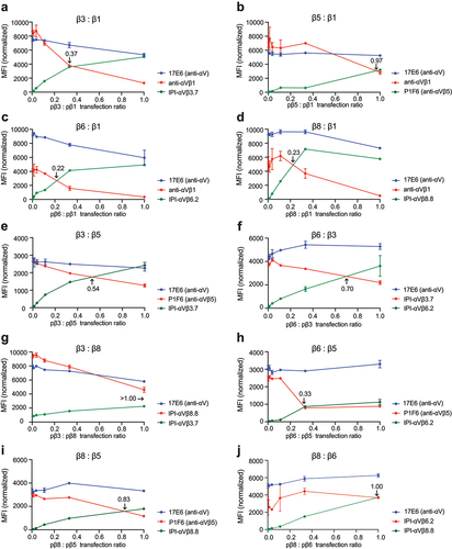 Figure 8. Competition between integrin β-subunits for the αV-subunit. (a-j.) MFI of directly fluorophore-labeled integrin antibodies measured by flow cytometry. In each competitive titration, the concentration of the αV-subunit plasmid (pαV) and one β-subunit plasmid remained constant at 0.6 µg (red line) while the other β-subunit plasmid (green line) was titrated until reaching 0.6 µg. The αV-subunit plasmid was 0.2 µg in a-e and h-i and 0.6 µg in f-g and j. in all reactions, empty vector plasmid was added to make the total plasmid concentration 1.8 µg. The ratio of the two β subunit plasmids at the cross point is indicated in each panel. The MFI of each β-subunit antibody was normalized relative to the MFI of the 17E6 αV antibody (Supplementary Figure S7).