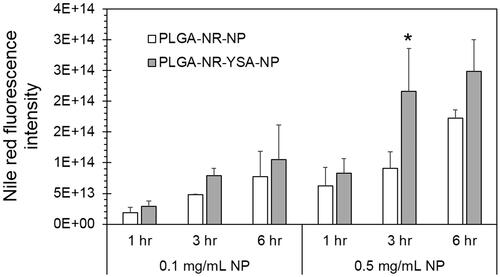 Figure 2. Dose- and time-dependent uptake of nanoparticles in human umbilical vein endothelial cells (HUVEC) cells. Cell imaging based quantification of Nile red dye in HUVEC cells at 1, 3 and 6 h following exposure of 0.1 or 0.5 mg/ml nanoparticles with and without YSA-functionalization. Fluorescence intensity is normalized to protein concentration. Data represents mean ± SD for n = 3. *p < .001 compared to the uptake of 0.5 mg/ml PLGA-NR-NP at 3 h. PLGA: poly (dl-lactide-co-glycolide).